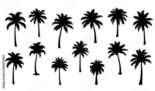 Minimal Tropical Palm Tree Monochrome Silhouette Vector Pack for Botanical Design