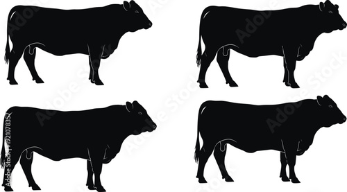 Beef Cattle Silhouette Set Side View Farm Livestock Bulls Isolated on White Background Agriculture Vector Illustration Collection