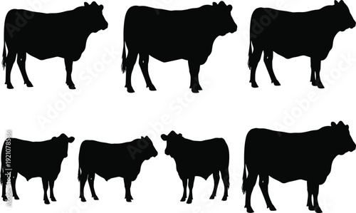 Black Cow Silhouette Collection Set Isolated on White Background Farm Animal Livestock Cattle Vector Illustration for Agriculture Design
