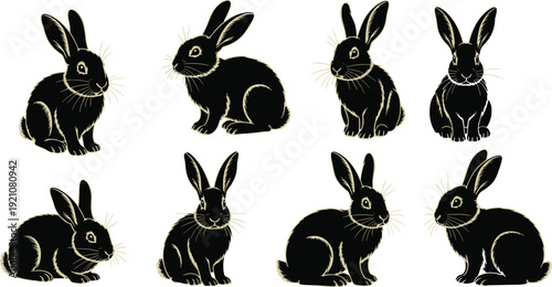 Rabbit illustrations set, flat vector, cute bunny poses, animal wildlife pet design elements icon branding web print ui sticker collection