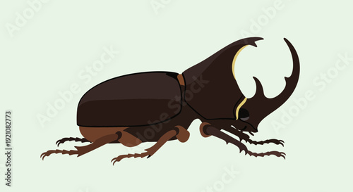 Rhinoceros Beetle Illustration - Insect Vector Art