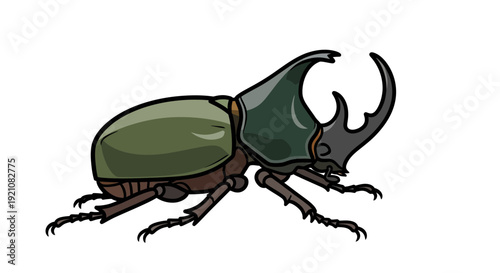 Rhinoceros Beetle Illustration: Majestic Insect with Horns on White Background