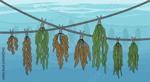 Seaweed Drying on Lines Over Blue Water