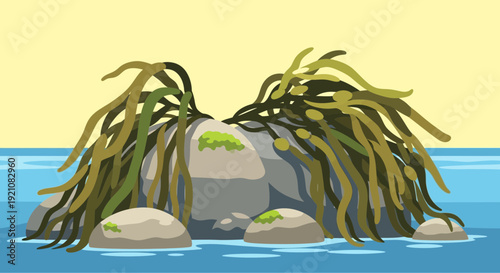 Seaweed-covered rocks in ocean water, coastal nature illustration