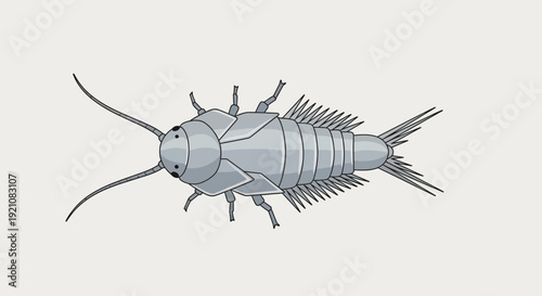 Silverfish Insect Illustration - Top View