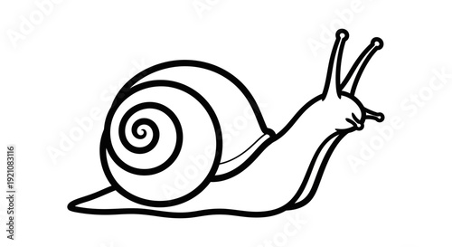 Simple line drawing of a snail on a white background, isolated