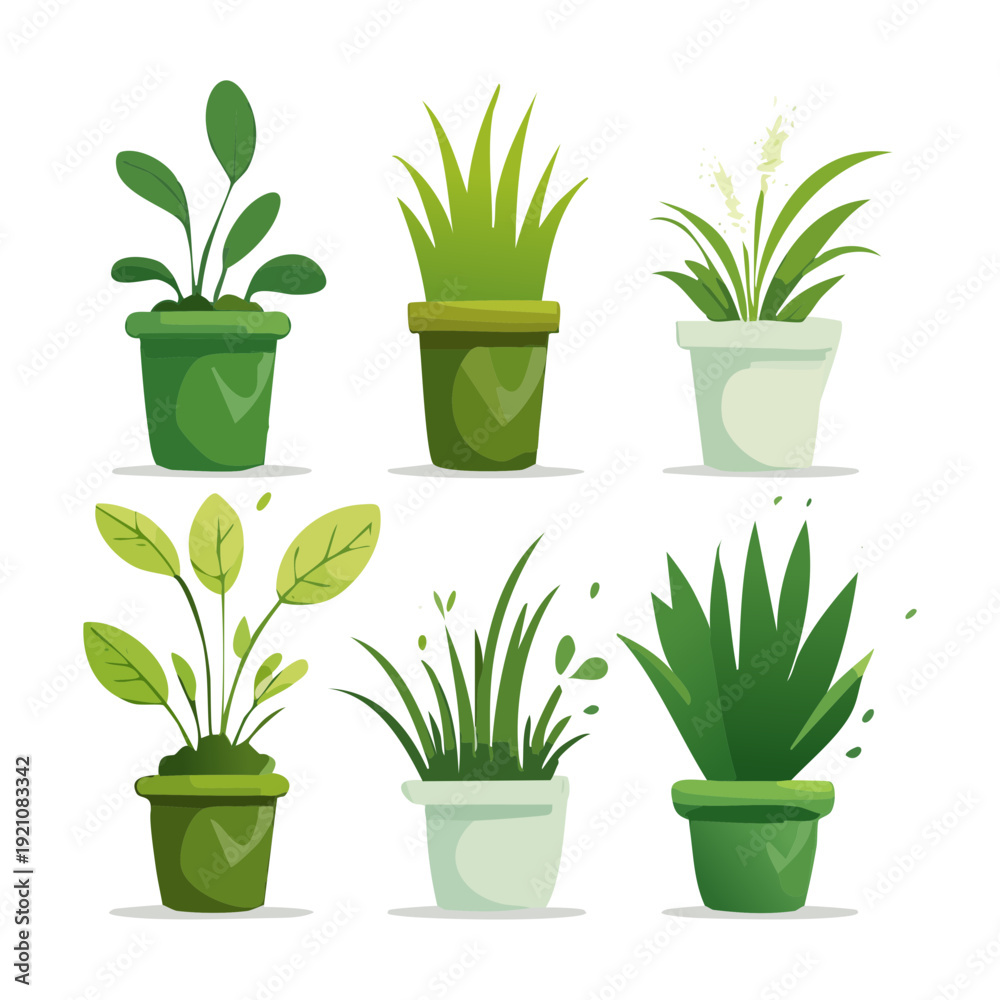 Obraz premium Green Fern and Leafy Sprout Plant Illustration Set in Green Pot for Lush Greenhouse Interior Concept Graphic