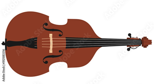 Stringed Double Bass Instrument Isolated on White Background