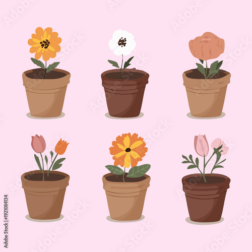 Mixed Herb and Spice Plant Illustration Set in Green Pot for Culinary Kitchen Garden and Healthy Cooking Blog Design