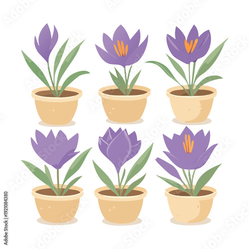 Green Snake Plant Illustration Set in Tall Modern Pot for Minimalist Living Room and Air Purifying Indoor Garden