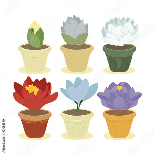 Broad Leaf Fiddle Leaf Fig Plant Illustration Set in Large Pot for Modern Interior Design and Indoor Tree Theme