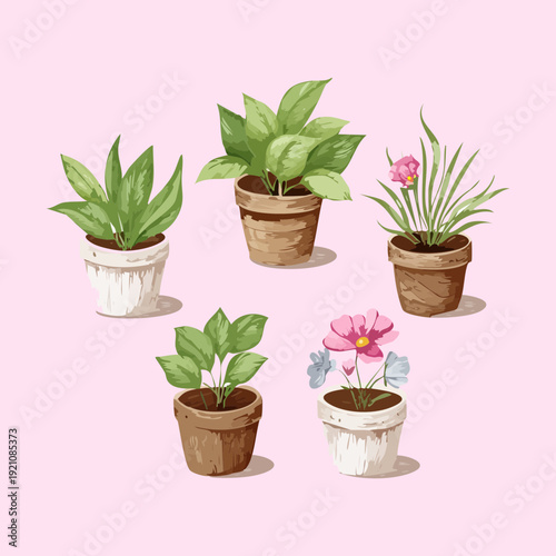 Potted Pine and Evergreen Tree Plant Illustration Set in Rustic Pot for Winter Holiday Season and Forest Theme Decor