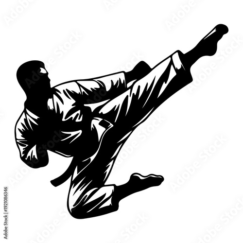 Martial Arts High Kick Silhouette – Taekwondo Karate Fighter Vector Illustration.