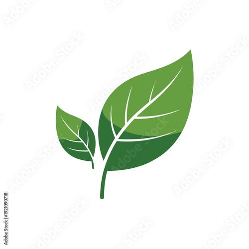 A simple illustration of two green leaves on a white background.