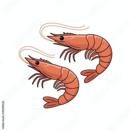 Two orange prawns are depicted in a simple illustration against a white background.