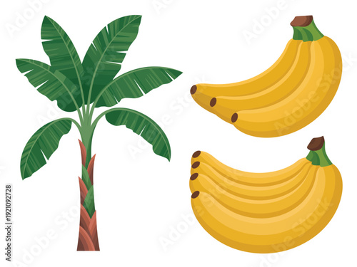 A cartoon banana tree with three bananas on the side and a bunch of bananas.