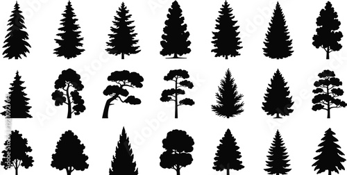 Collection of tree silhouettes, pine and deciduous forest trees vector set isolated on white background for landscape design