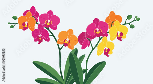 A stylized illustration of colorful orchids against a light background