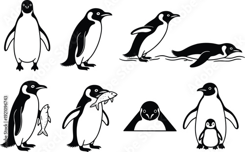 Penguin silhouette collection, Antarctic wildlife animal poses, marine bird vector illustration, isolated nature design bundle set