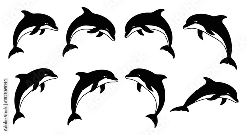black and white dolphin silhouettes dynamically jumping and swimming perfect for marine life aquatic design projects and nature themes.