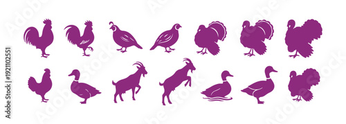Icons designed for different types of farm animals