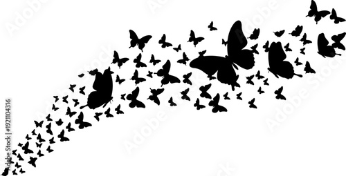 Flying black silhouettes of butterflies. Vector design element
