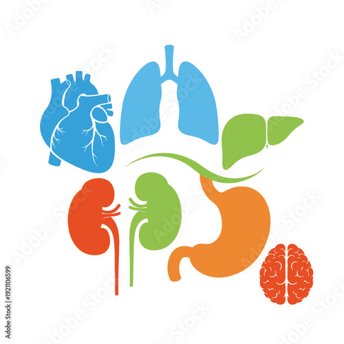 A cartoon caterpillar curiously investigates a simple wooden birdhouse