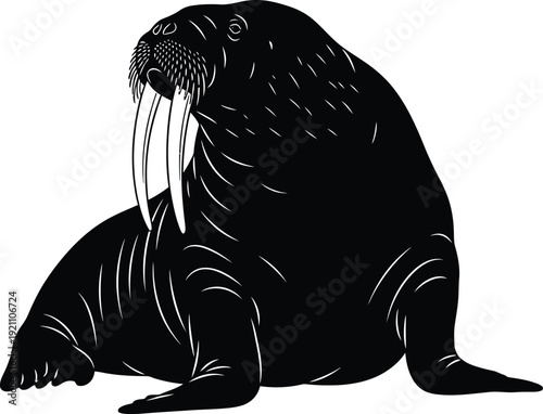 Cute black sea lion cub sitting on a rock cartoon illustration
