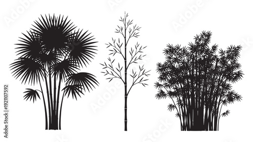Set of tree silhouettes in black and white for landscape design