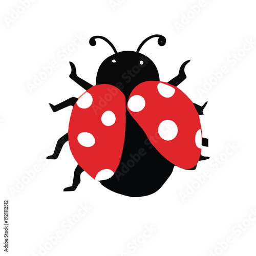 Cartoon red ladybug  isolated on white background.