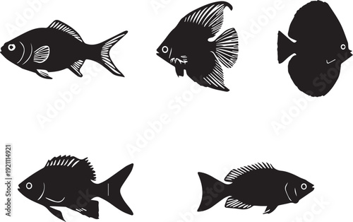 Freshwater Aquarium Fish Silhouette Icons Black Vector Tropical Set