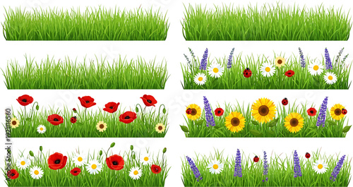 Vibrant green grass and diverse floral borders with spring and summer flowers