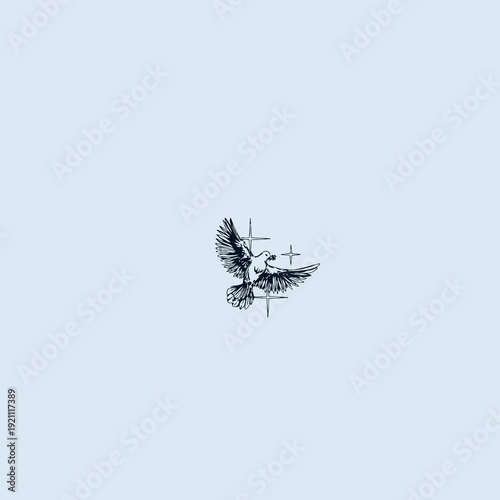 HIGH QUALITY DOVE (HOLY SPIRIT)  VECTOR, ARE GREAT FOR USING VARIOUS TYPES OF DESIGN WORK LIKE T-SHIRT, TATTOO AND HOME WALL DESIGN