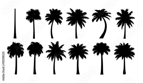 Black Palm Tree Silhouette Collection Vector Isolated on White
