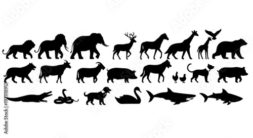 Black Animal Silhouettes Side View Collection Wild Farm and Domestic Creatures Vector Set