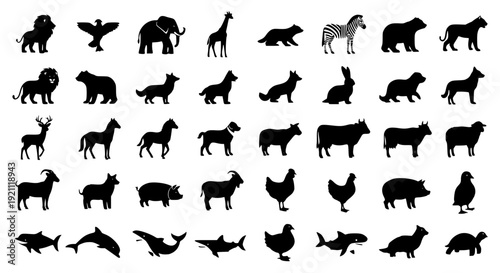 Animal Silhouettes Vector Set with Wild Farm and Domestic Animals Black Icons Collection Isolated on White
