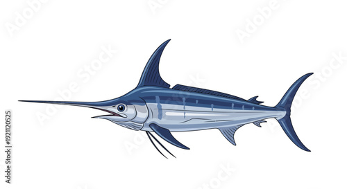 Blue Marlin Fish Illustration - Majestic Ocean Predator