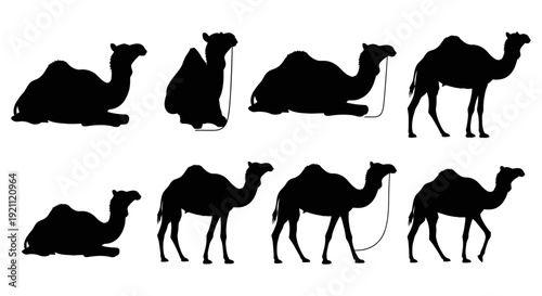 camel silhouettes in diverse standing and resting poses isolated on white great graphic elements for desert animal designs.