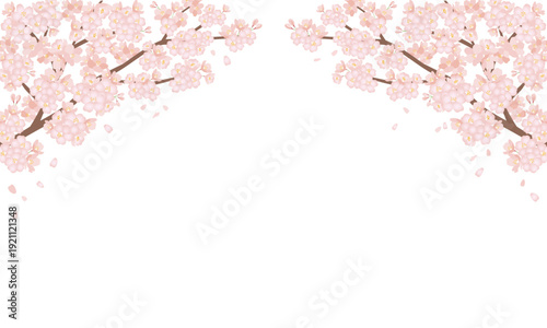 桜　壁紙　フレーム　桜の木　cherry blossom sakura　frame