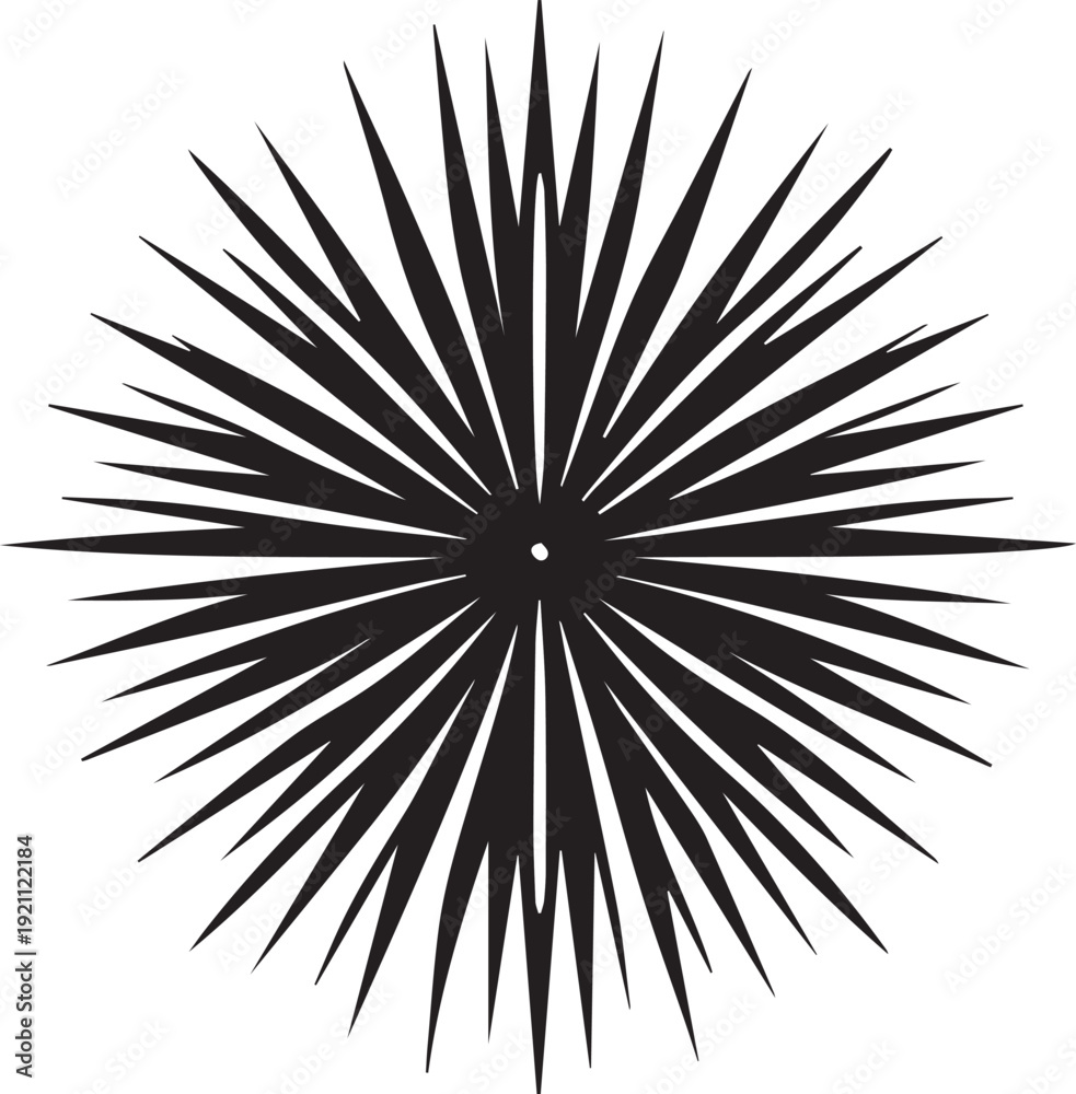Obraz premium Sea Urchin Icon Vector