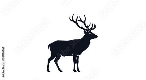 Silhouette of Deer with Antlers Standing.