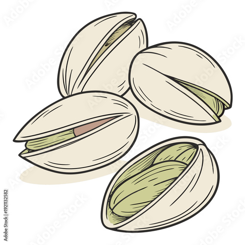 Fresh Pistachio Nuts in Shells Healthy Snack.