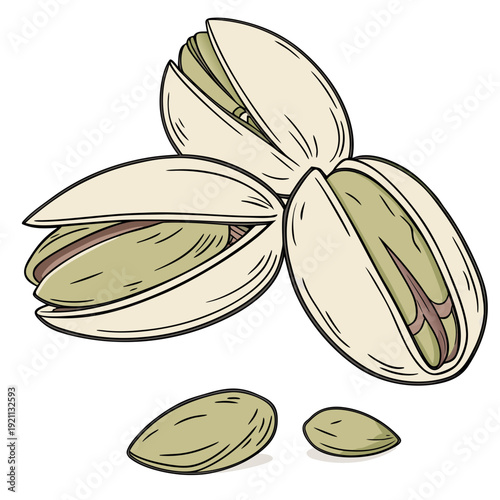 Fresh pistachios in shells and shelled nuts.