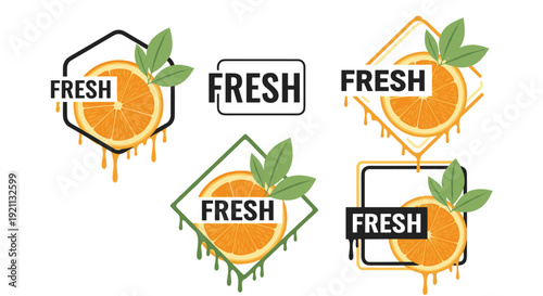 Collection of modern 'FRESH' logos with a juicy orange slice and dripping juice, set within various geometric frames.