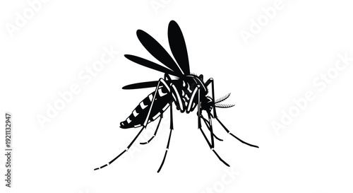 A detailed black and white illustration depicts a mosquito in profile showcasing its delicate wings and legs silhouette high quality