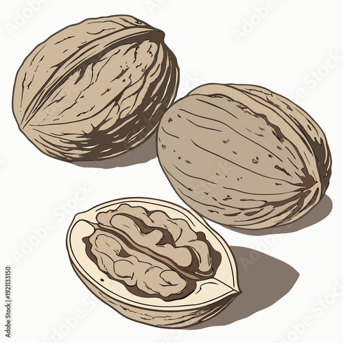 Three walnuts two whole and one cracked open revealing the edible nut inside isolated on a white background.