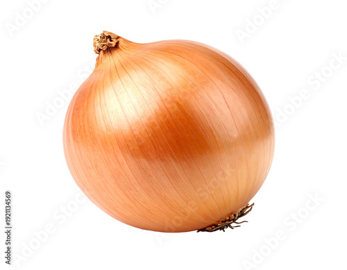 Wallpaper Mural Close-up of a fresh whole and ripe brown onion isolated on white background. Torontodigital.ca