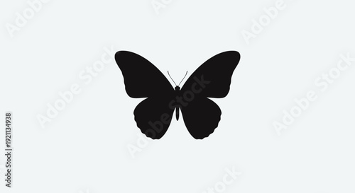 Black Butterfly Silhouette with Spread Wings.