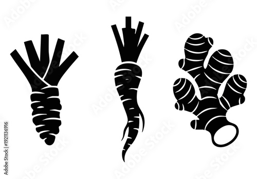 Root Vegetable Silhouette Vector - Horseradish, Parsnip, and Ginger Root Woodcut Art