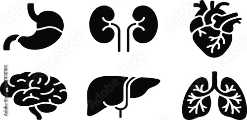 Human body organs silhouette illustrations